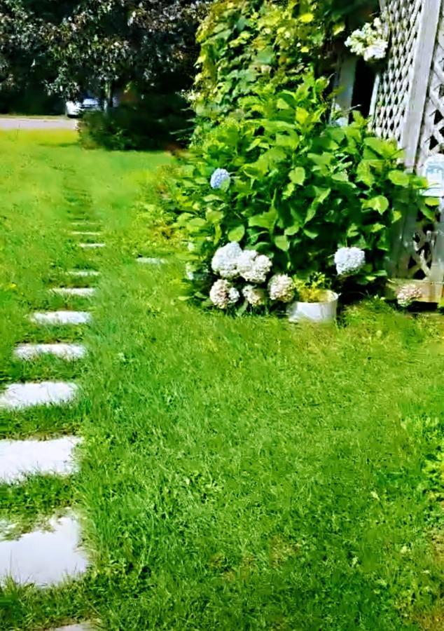 Lily'S Garden Hotell Charlottetown Eksteriør bilde